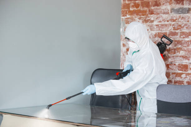 Reliable Washington, NC Mold Removal & Remediation Solutions