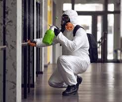 Best Asbestos and Lead Testing During Mold Inspection  in Washington, NC